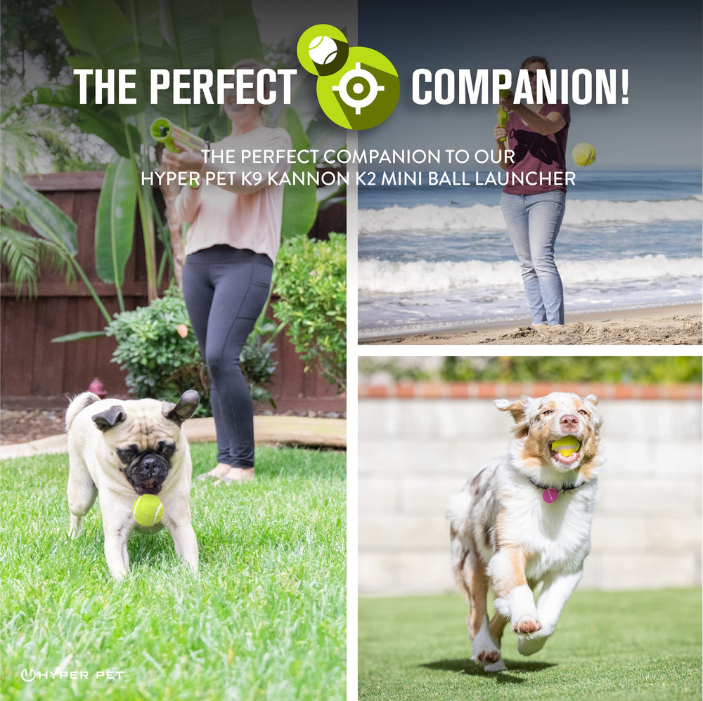 Hyper Pet balle tenue en main illustrant prise facile pour petits chiens