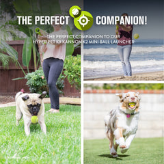 Hyper Pet balle tenue en main illustrant prise facile pour petits chiens