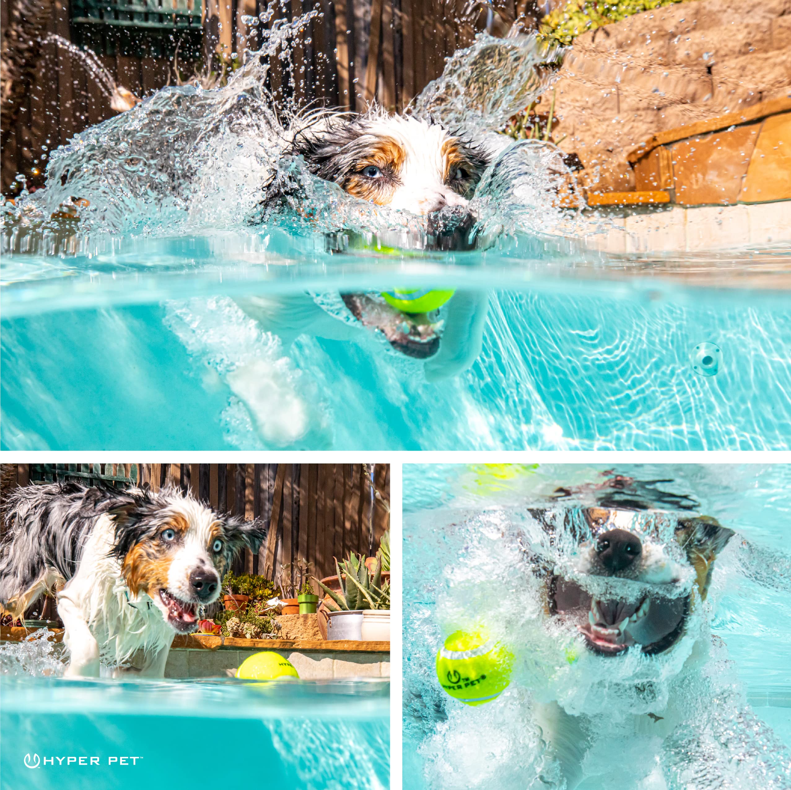 Hyper Pet balles flottantes en eau facilitant jeux aquatiques