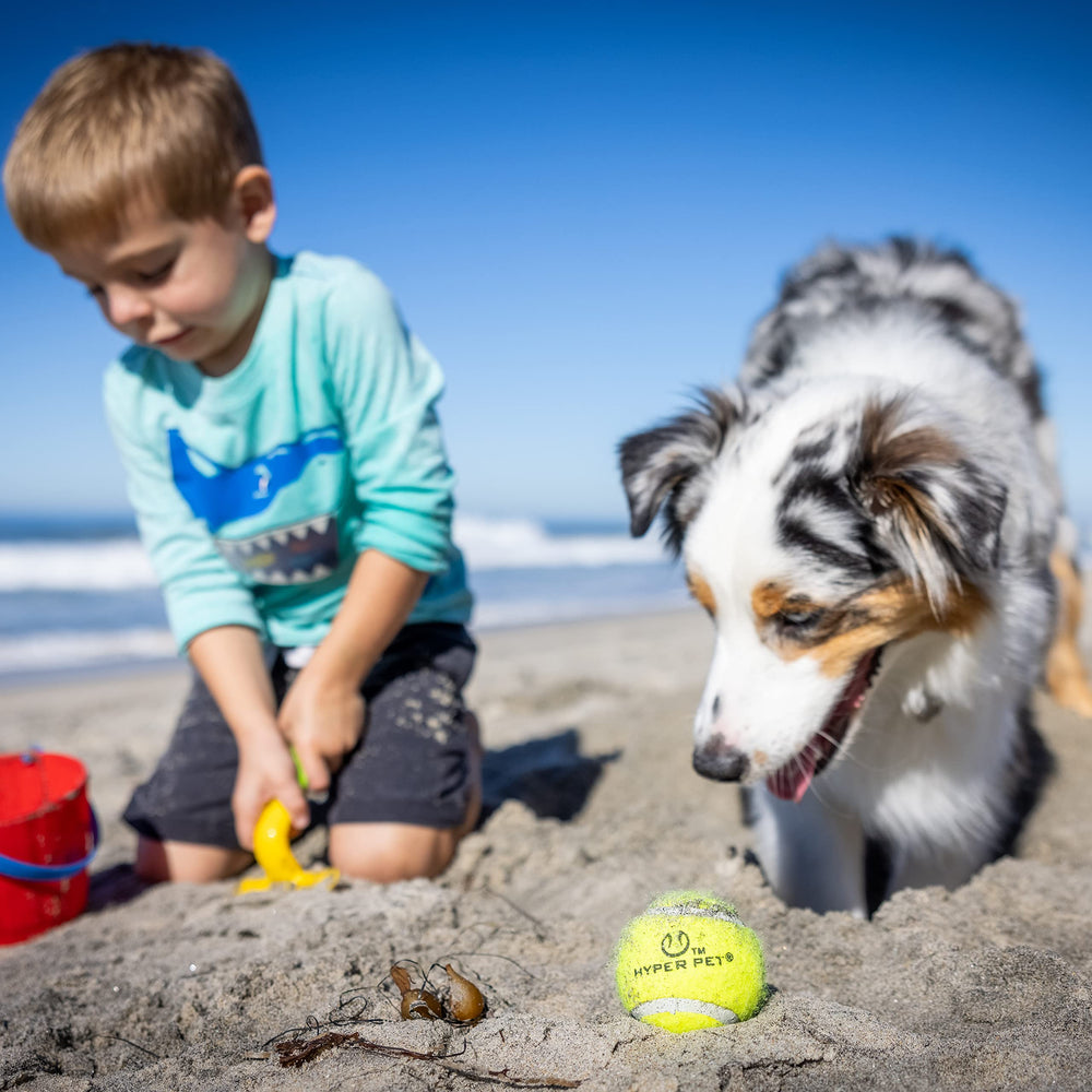 Hyper Pet balle compatible avec lanceurs pour entraînements longs
