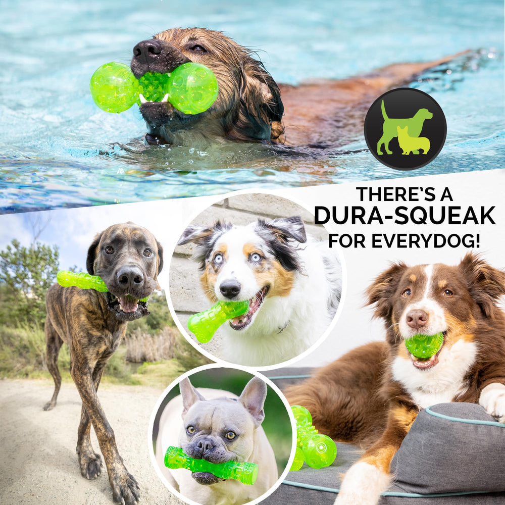 Hyper Pet chien rapportant le bâton, favorise exercice et lien maître-animal