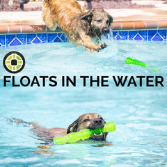 Hyper Pet bâton flottant sur l'eau, idéal pour jeux au lac et à la plage