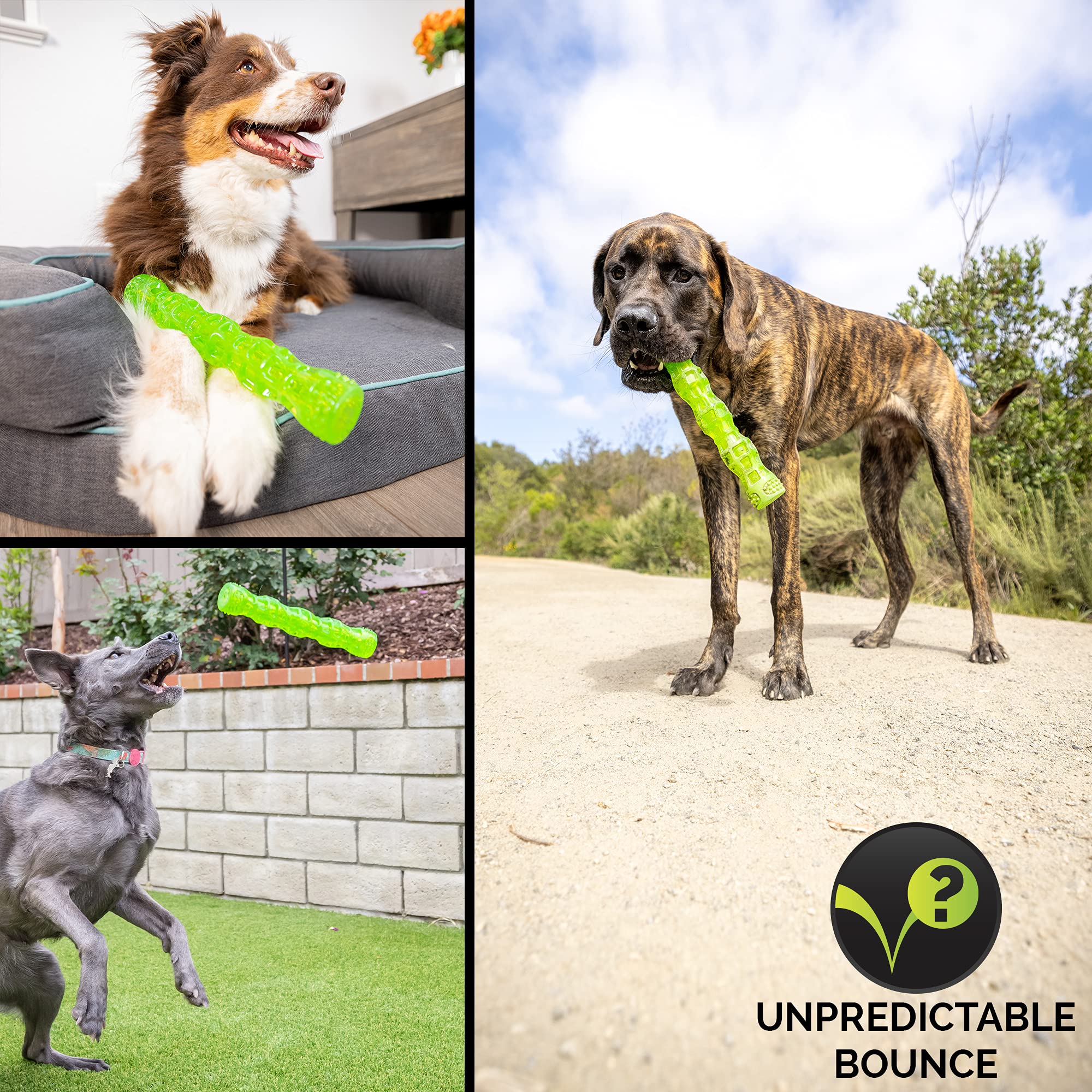 Hyper Pet bâton à côté d'un ruban métrique, présente taille adaptée grands chiens
