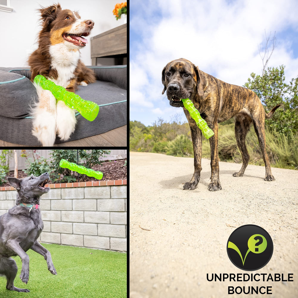 Hyper Pet bâton à côté d'un ruban métrique, présente taille adaptée grands chiens