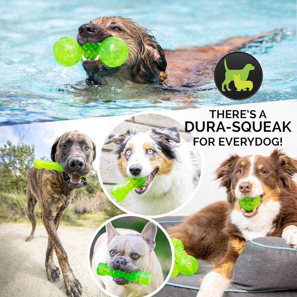 Hyper Pet vue interne du couineur offrant attraction sonore ludique