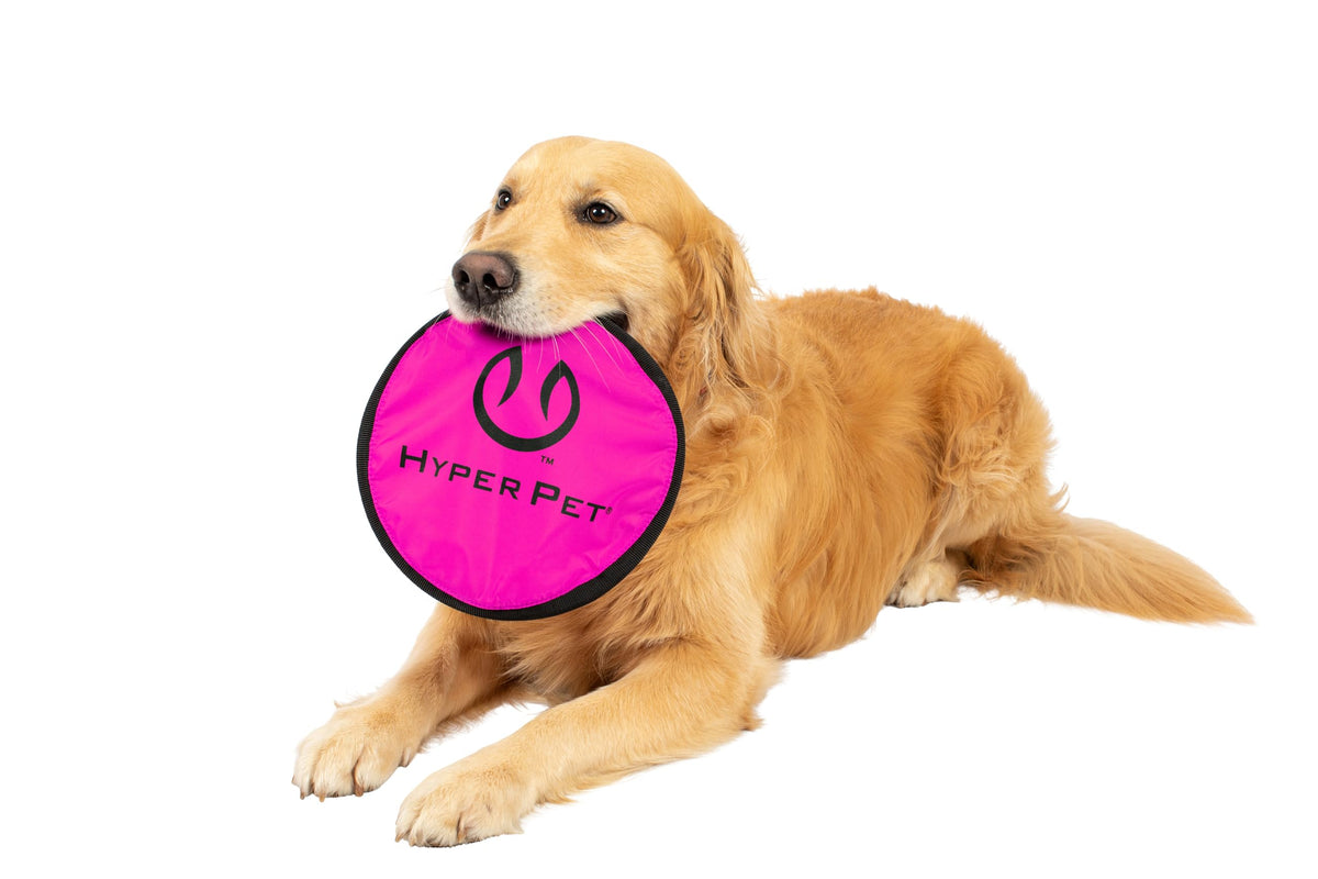 Hyper Pet disque face avant montrant la forme et l'anneau visible bénéfice repérable