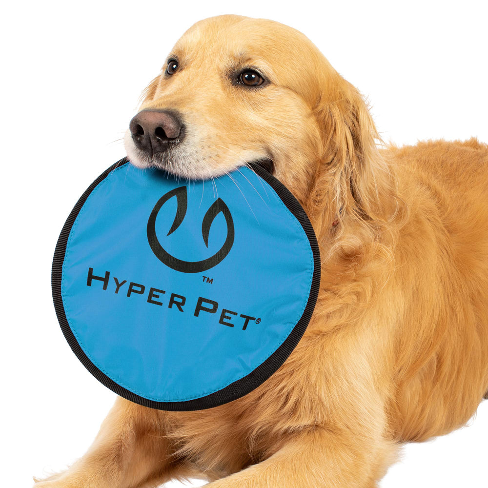 Hyper Pet Flippy Flopper pack de cinq disques pour sessions prolongées