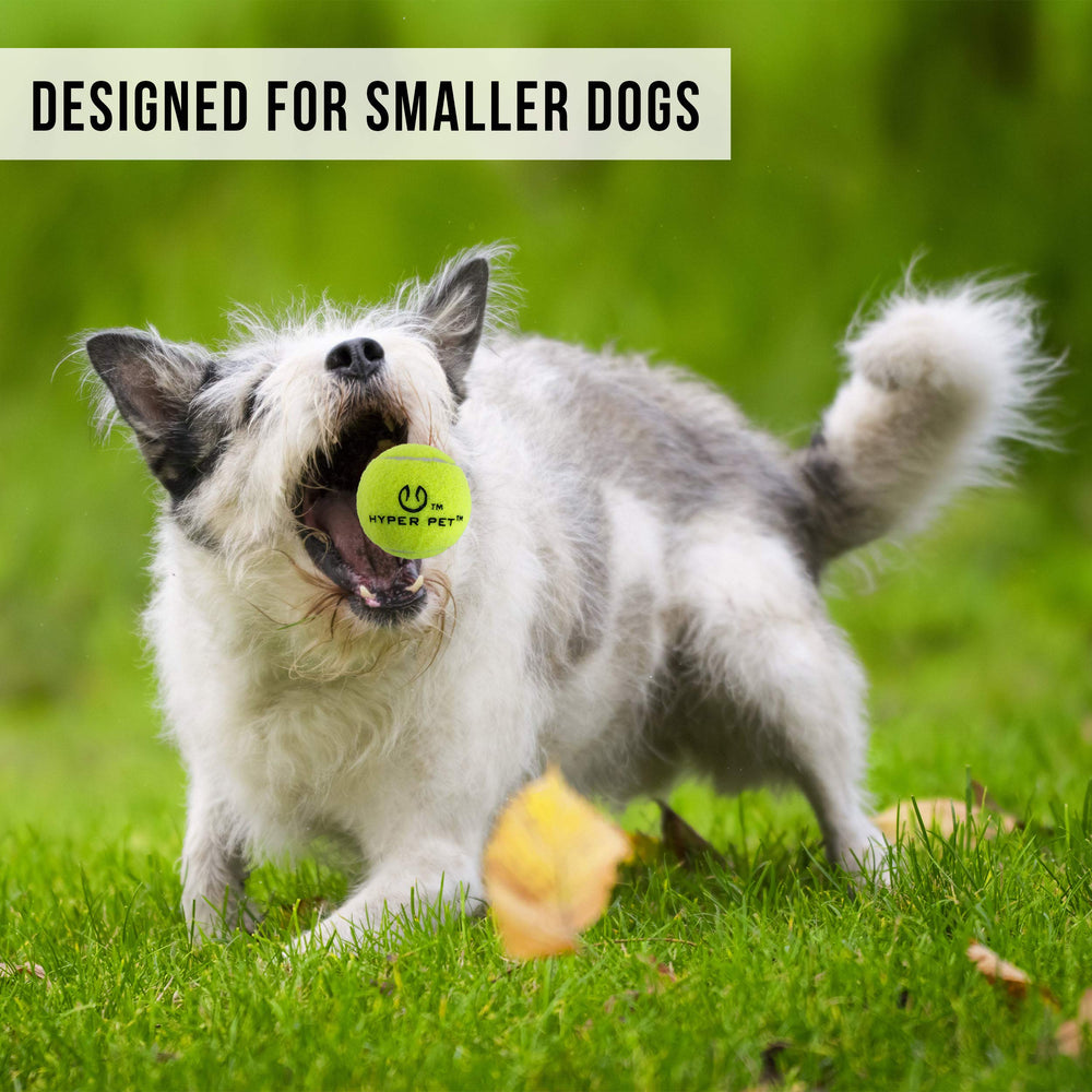 Hyper Pet MINI balle 2 pouces incluse à côté du lanceur, adaptée aux petites mâchoires