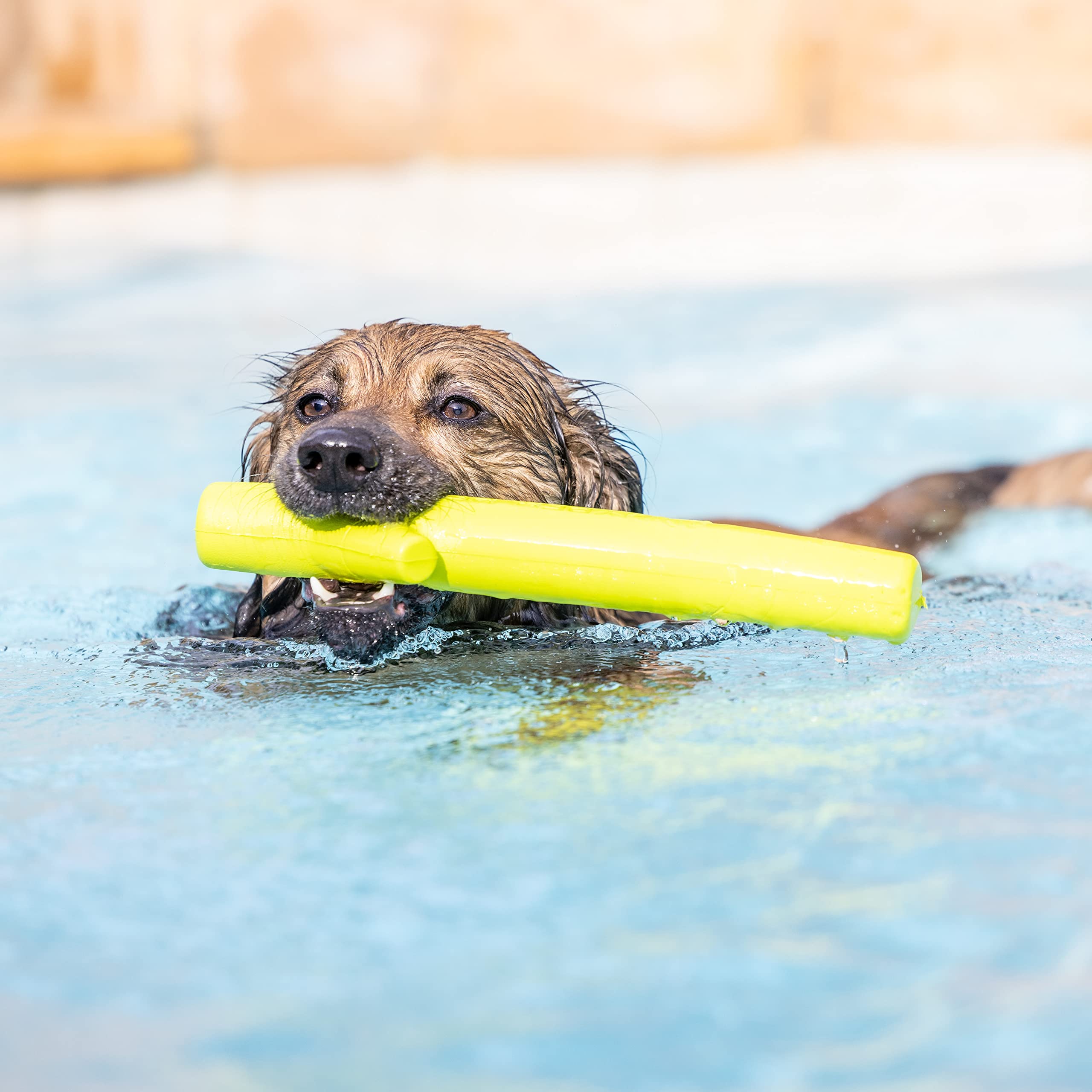 Hyper Pet démonstration de nettoyage rapide sous l'eau bénéfique pour hygiène
