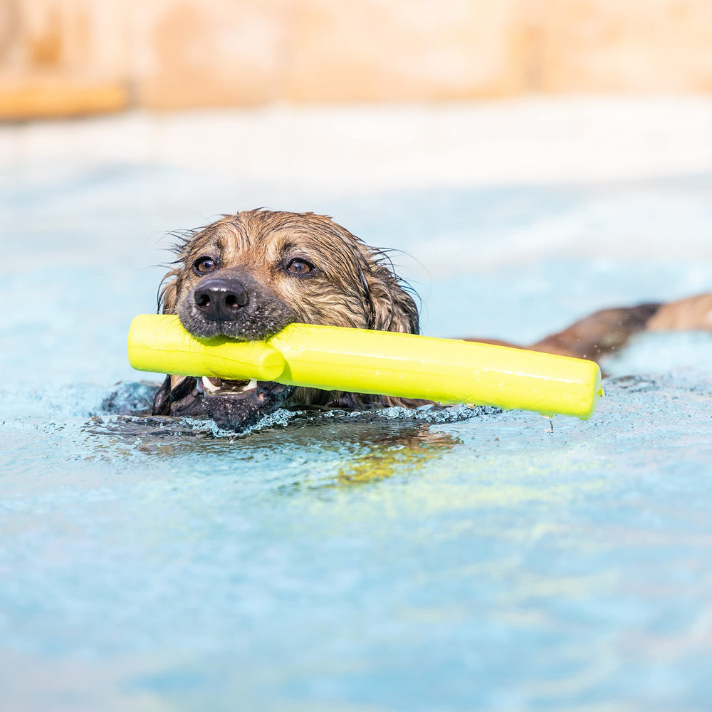 Hyper Pet démonstration de nettoyage rapide sous l'eau bénéfique pour hygiène