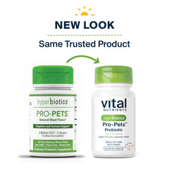 Hyperbiotics micro-perles gros plan montrant texture et appétence