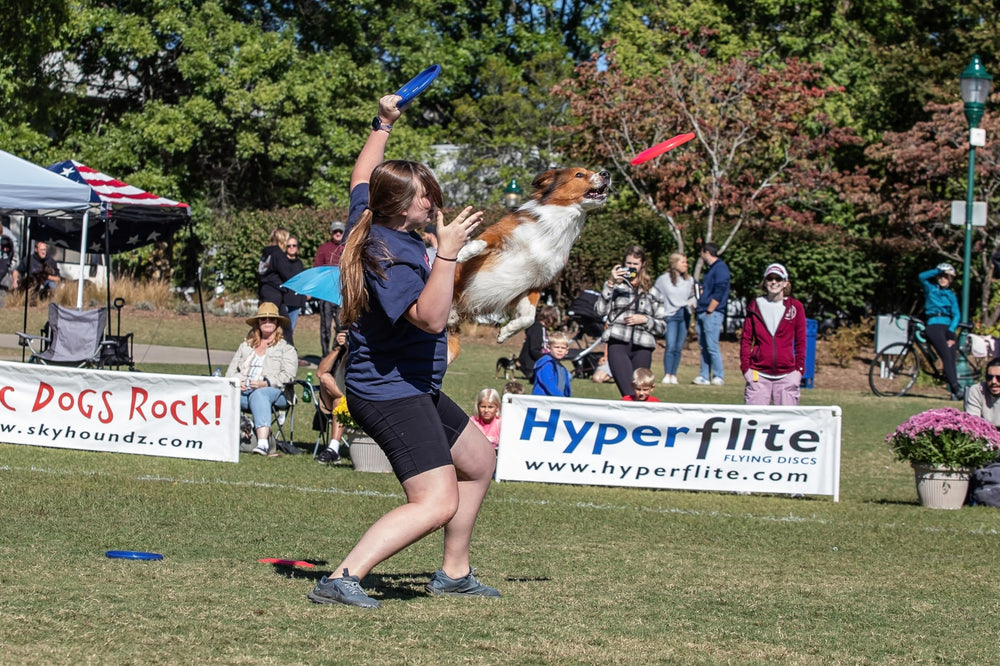 Hyperflite K-10 Jawz chien en action démontrant durabilité pendant le jeu