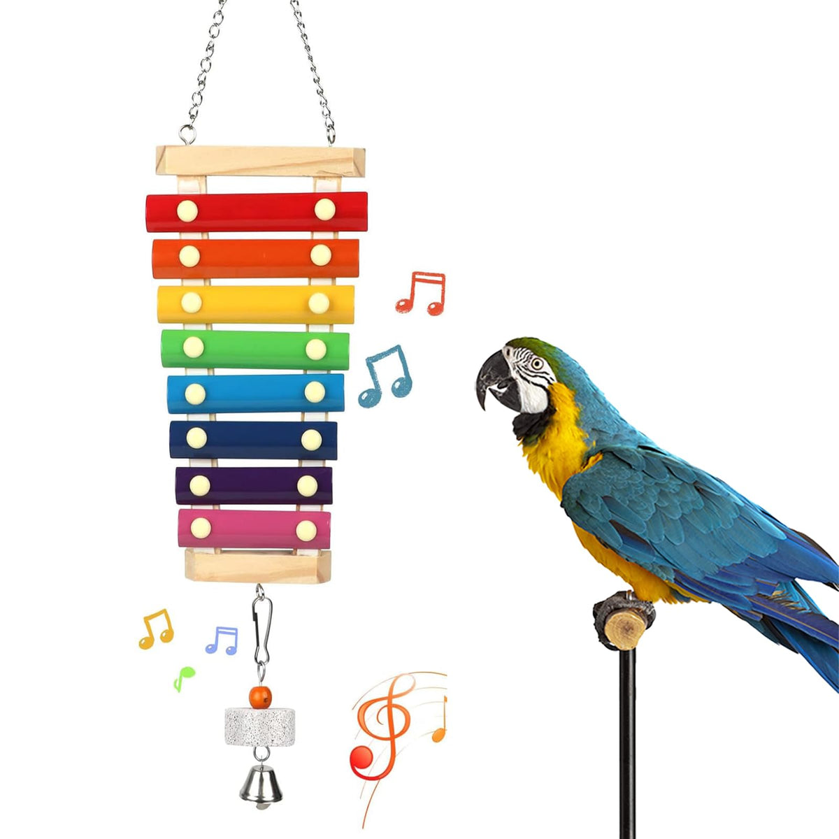 HZAKXIN xylophone face avant montrant couleurs vives et attrait visuel
