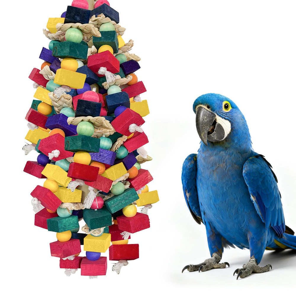 HZDZ LCPAW face avant du jouet montrant couleurs vives et blocs pour stimulation