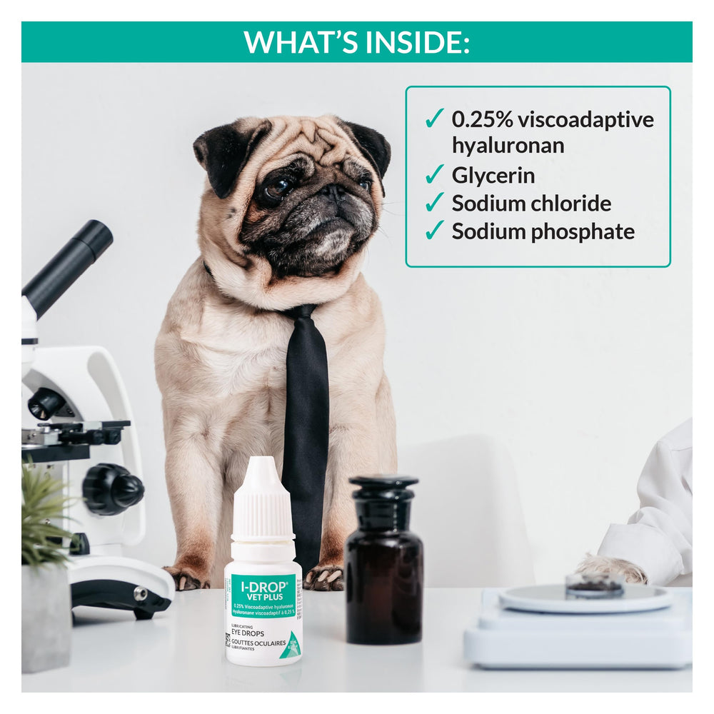 I-DROP Vet Plus application sur chien démontrant confort immédiat