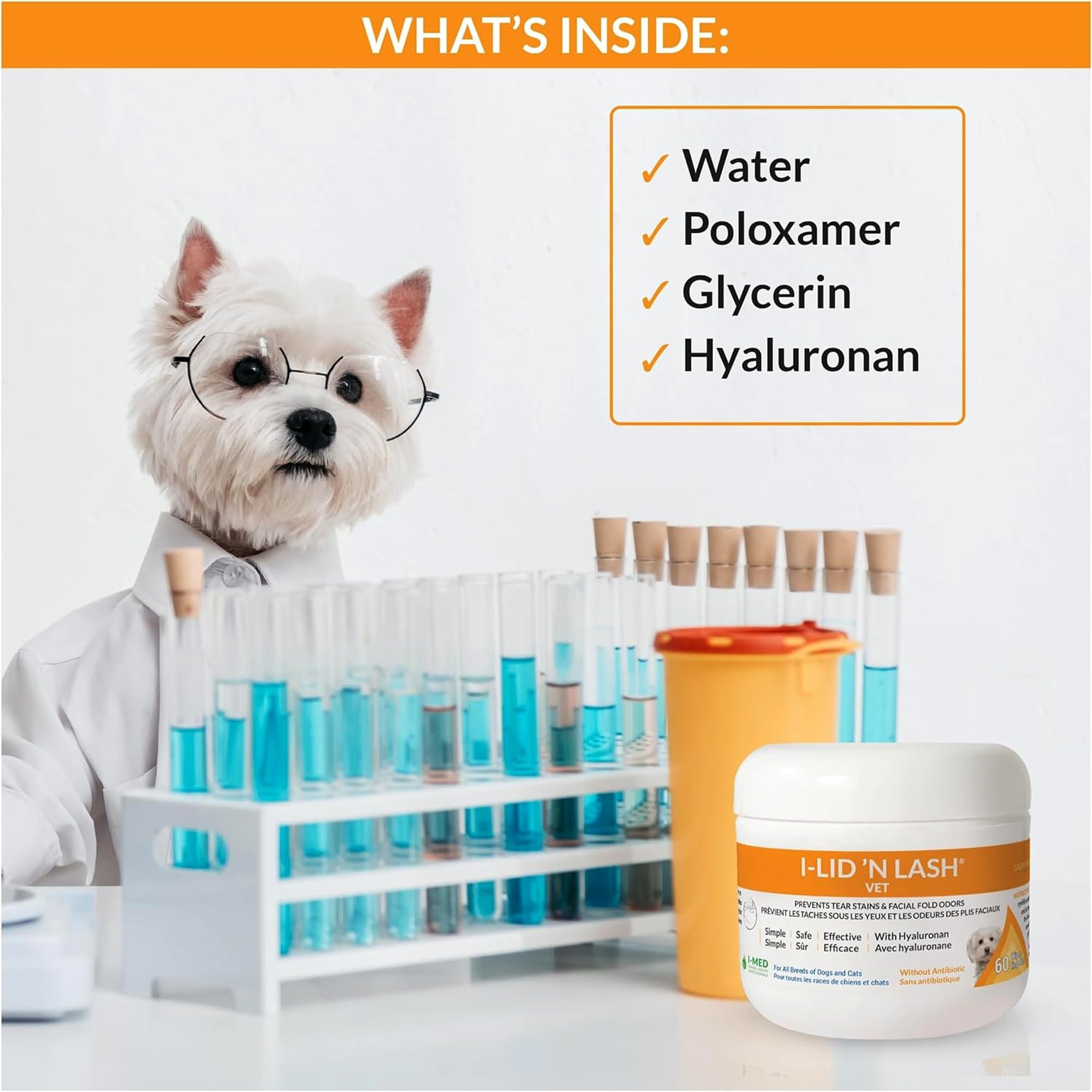 I-LID 'N LASH lingette utilisée sur paupière de chien pour entretien quotidien
