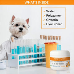 I-LID 'N LASH lingette utilisée sur paupière de chien pour entretien quotidien