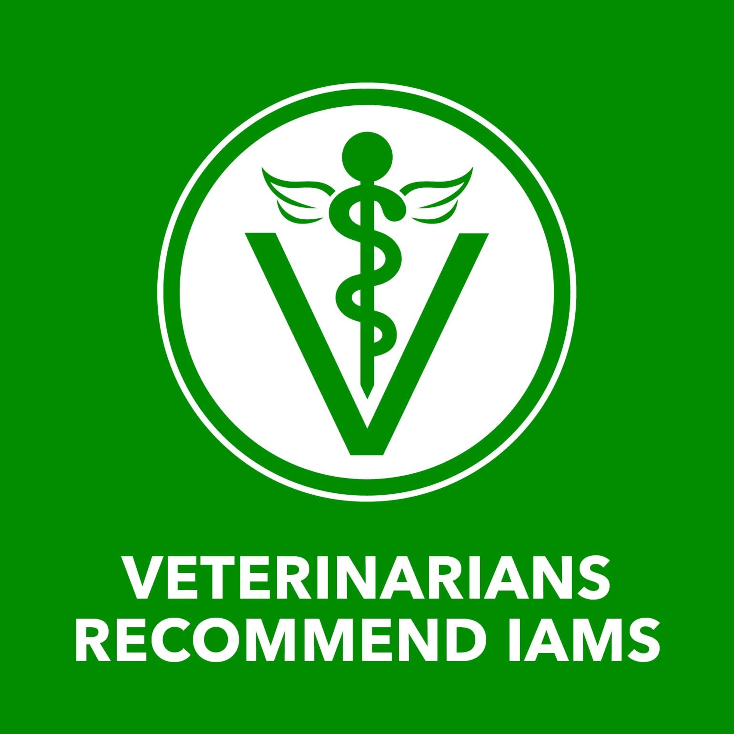 iams chien mange dans une gamelle montrant plaisir alimentaire