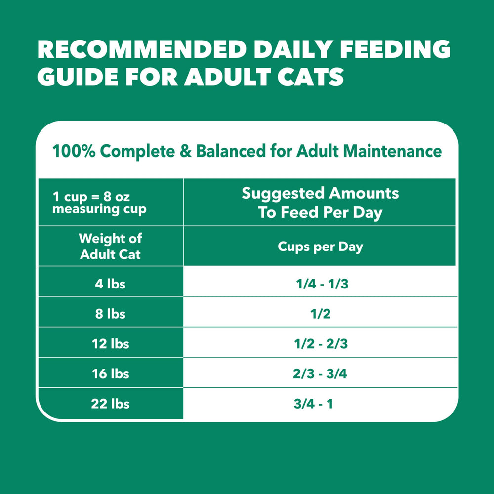 IAMS bol dans cuisine, style de vie montrant repas à la maison