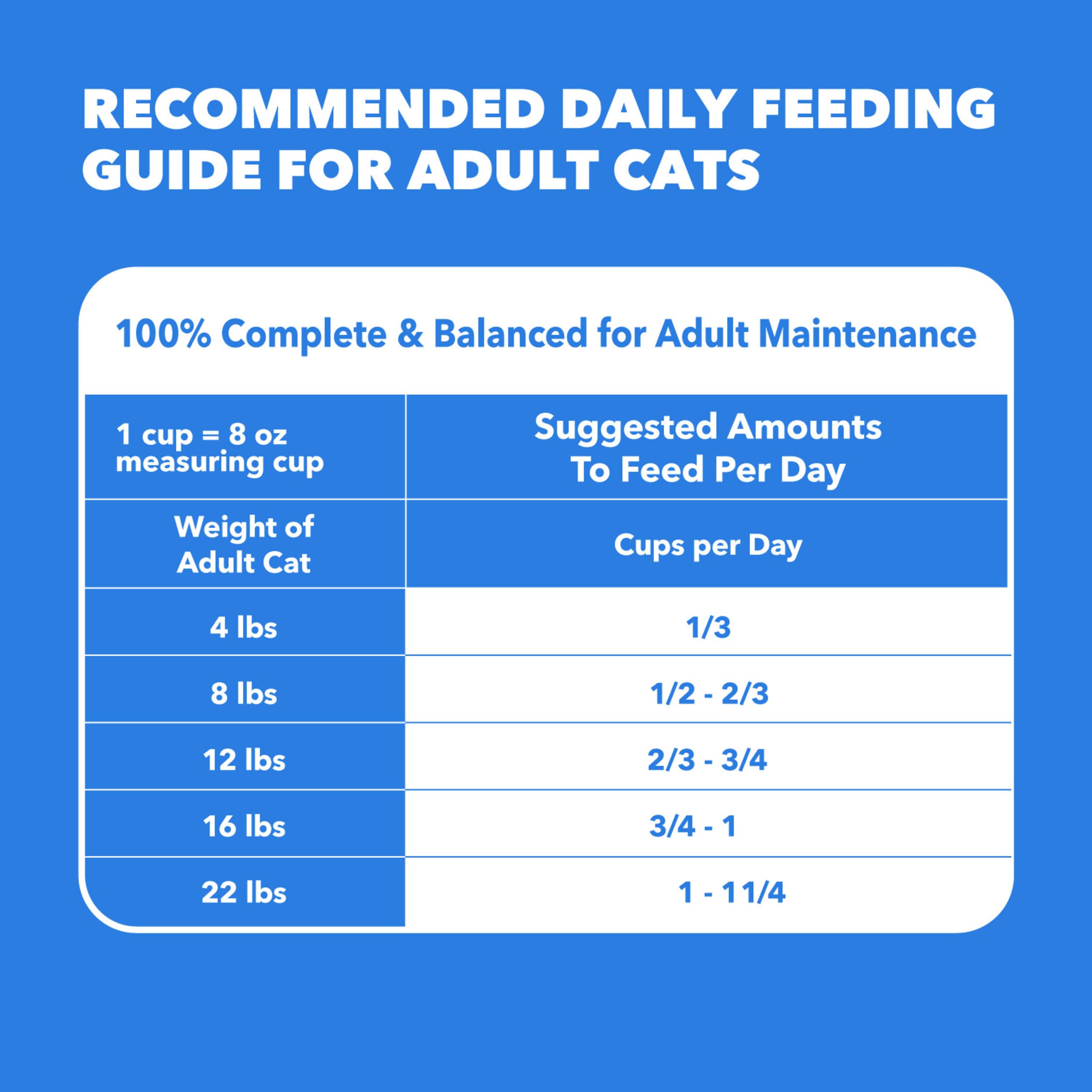 IAMS bol avec plusieurs chats partageant montrant acceptation par plusieurs animaux