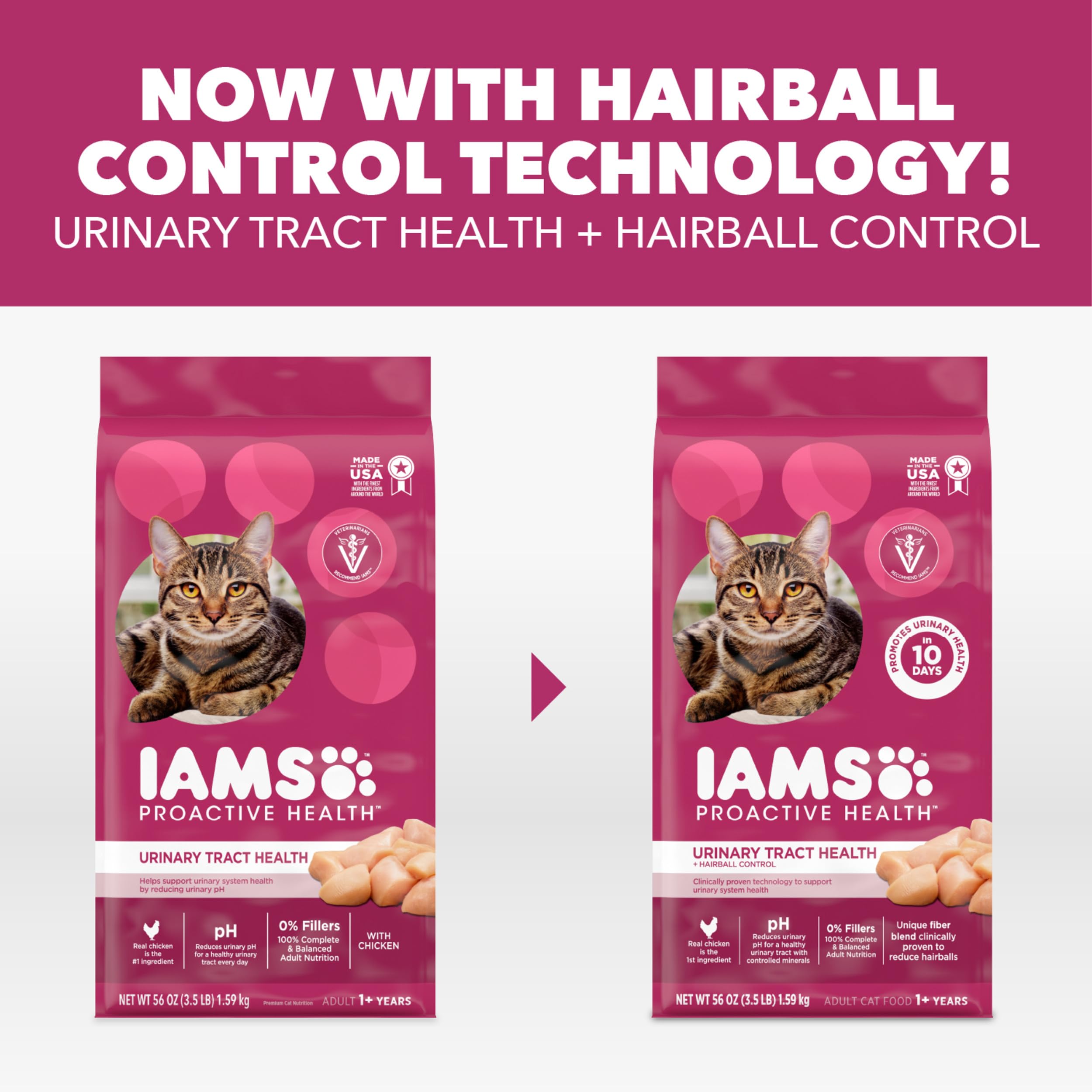 IAMS chat mange en cuisine, favorise repas serein et appétence