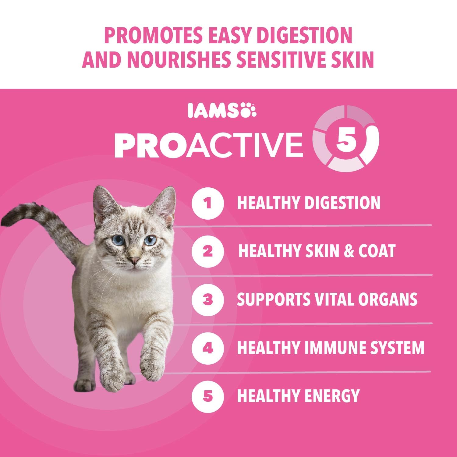IAMS chat mange dans un bol, bénéfice acceptation par les chats sensibles