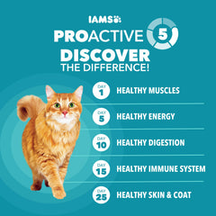 IAMS chat mangeant dans un bol, favorise poids sain et énergie