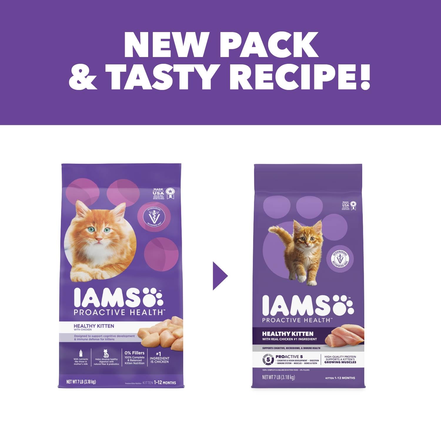 IAMS chaton joue plein d'énergie après une alimentation équilibrée