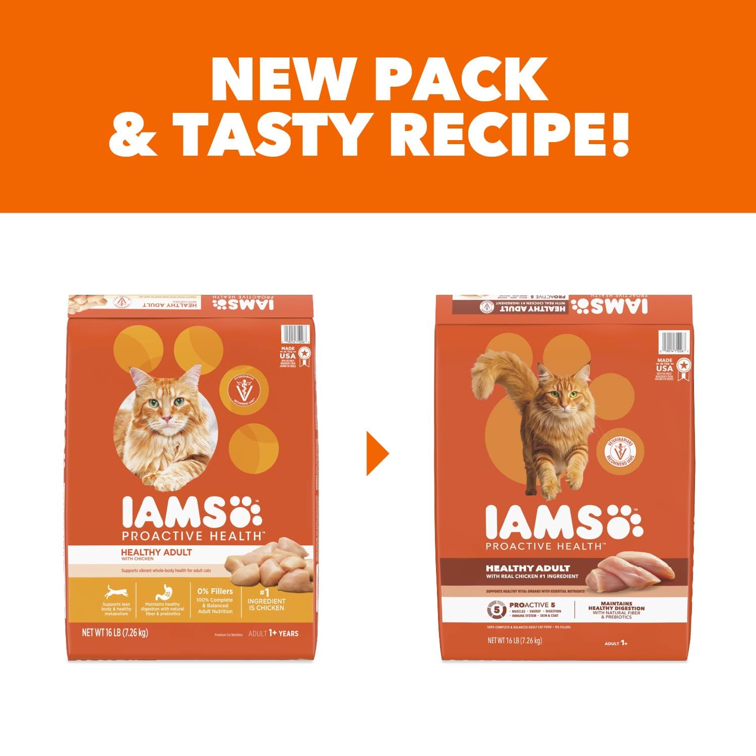 IAMS chat jouant près du bol suggérant vitalité et énergie