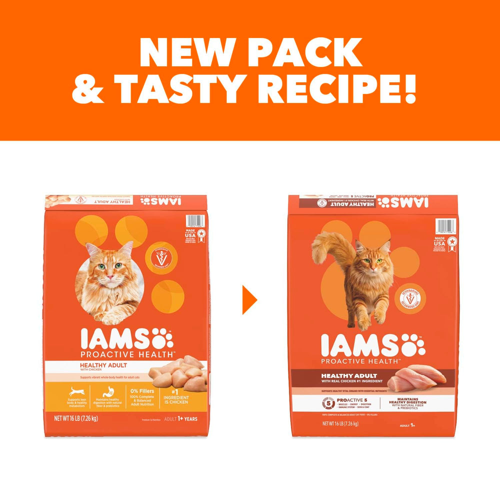 IAMS chat jouant près du bol suggérant vitalité et énergie