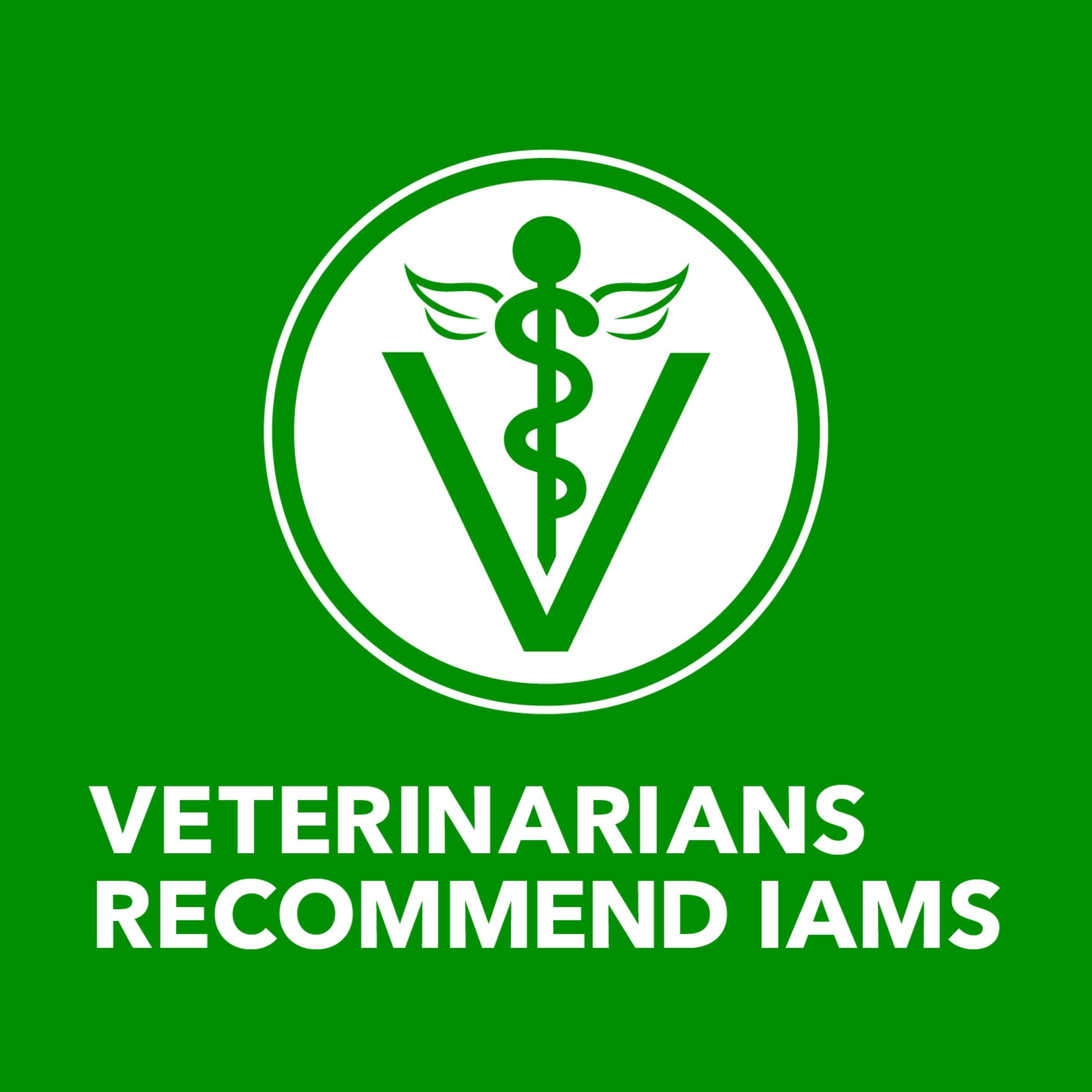 IAMS comparaison croquettes et pâtée montrant complément alimentaire humide