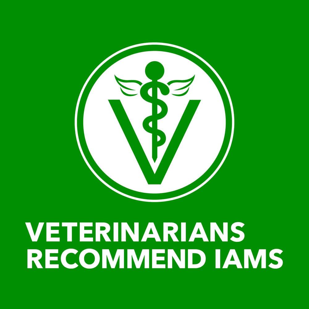IAMS comparaison croquettes et pâtée montrant complément alimentaire humide
