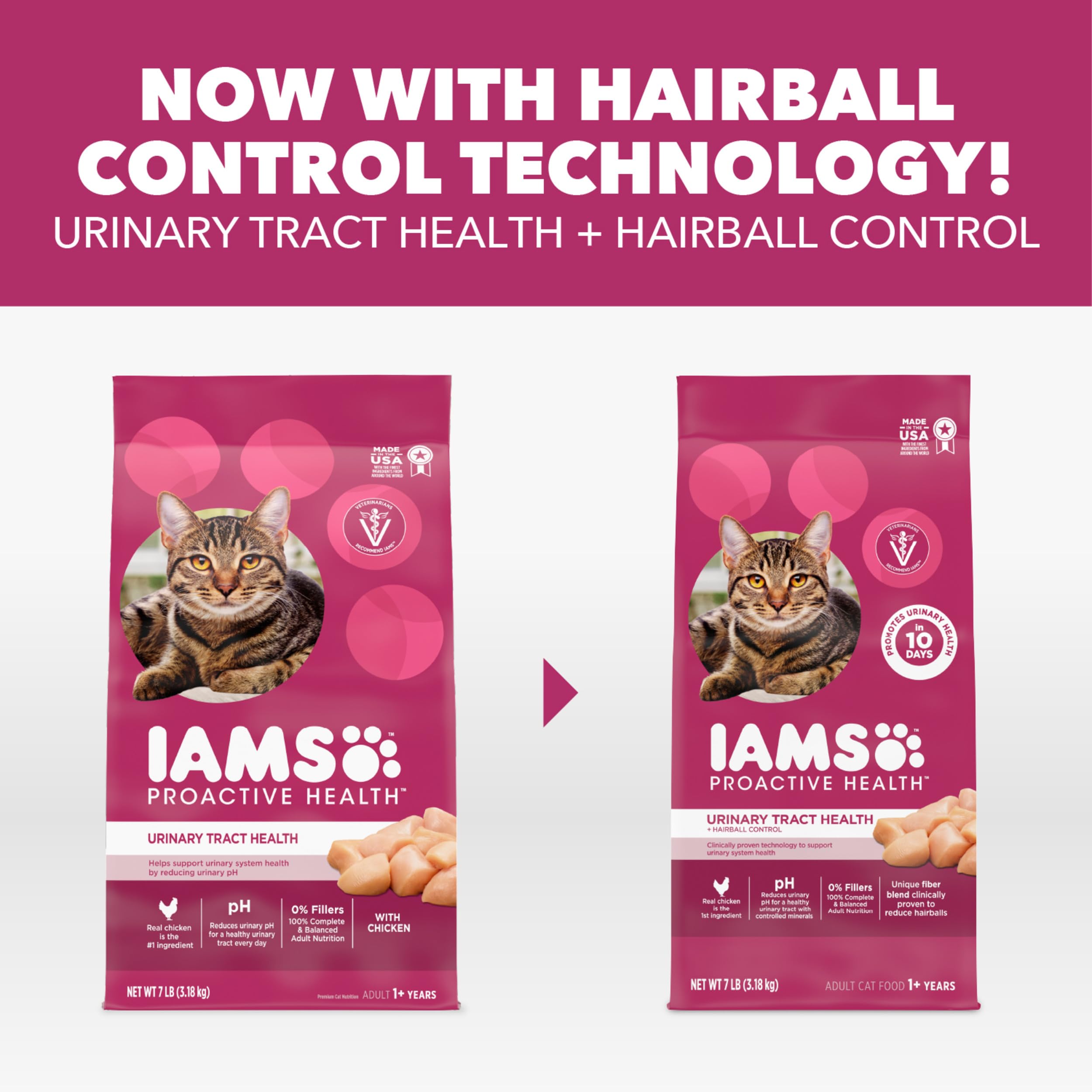 IAMS comparaison taille des croquettes avec une main pour échelle visuelle