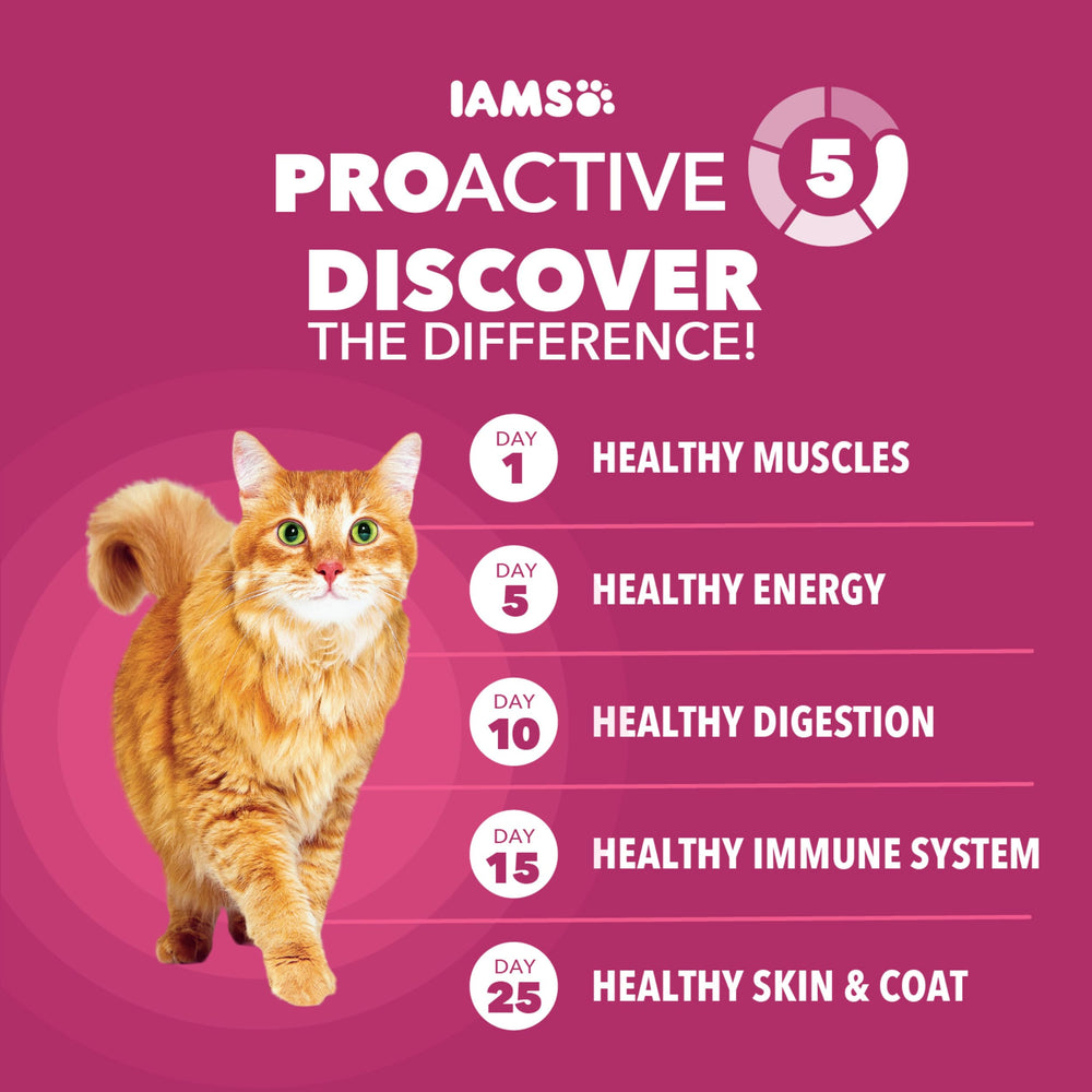 IAMS comparaison taille kibble dans la main, contrôle des portions facile