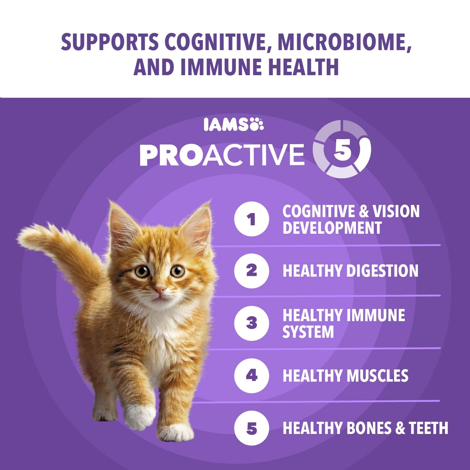 IAMS comparaison taille croquette pour visualiser portion pour chaton