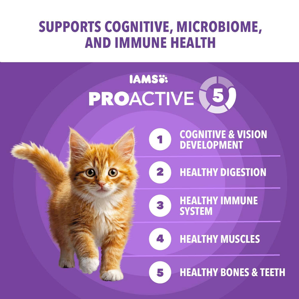 IAMS comparaison taille croquette pour visualiser portion pour chaton