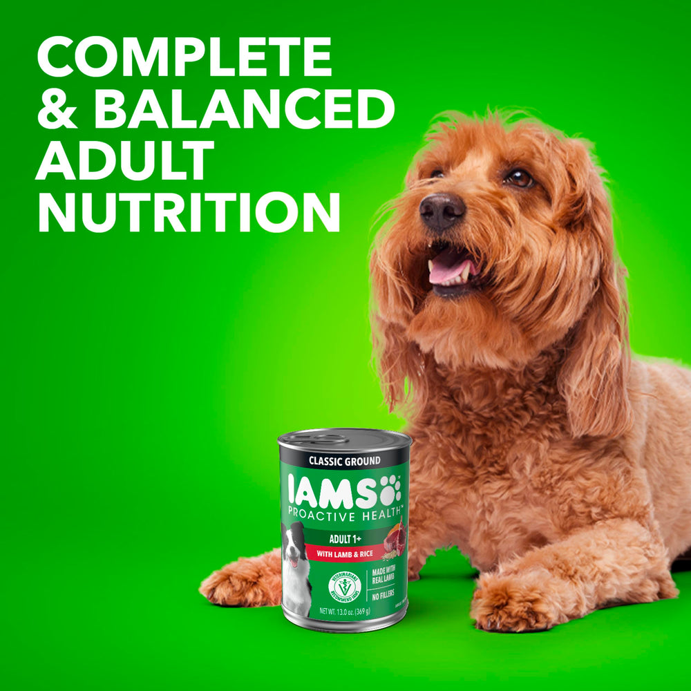IAMS conservation après ouverture au réfrigérateur montrant gestion pratique