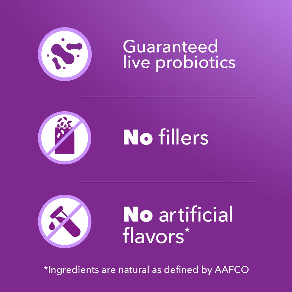 IAMS contenu croquettes gros plan révélant qualité et source protéique
