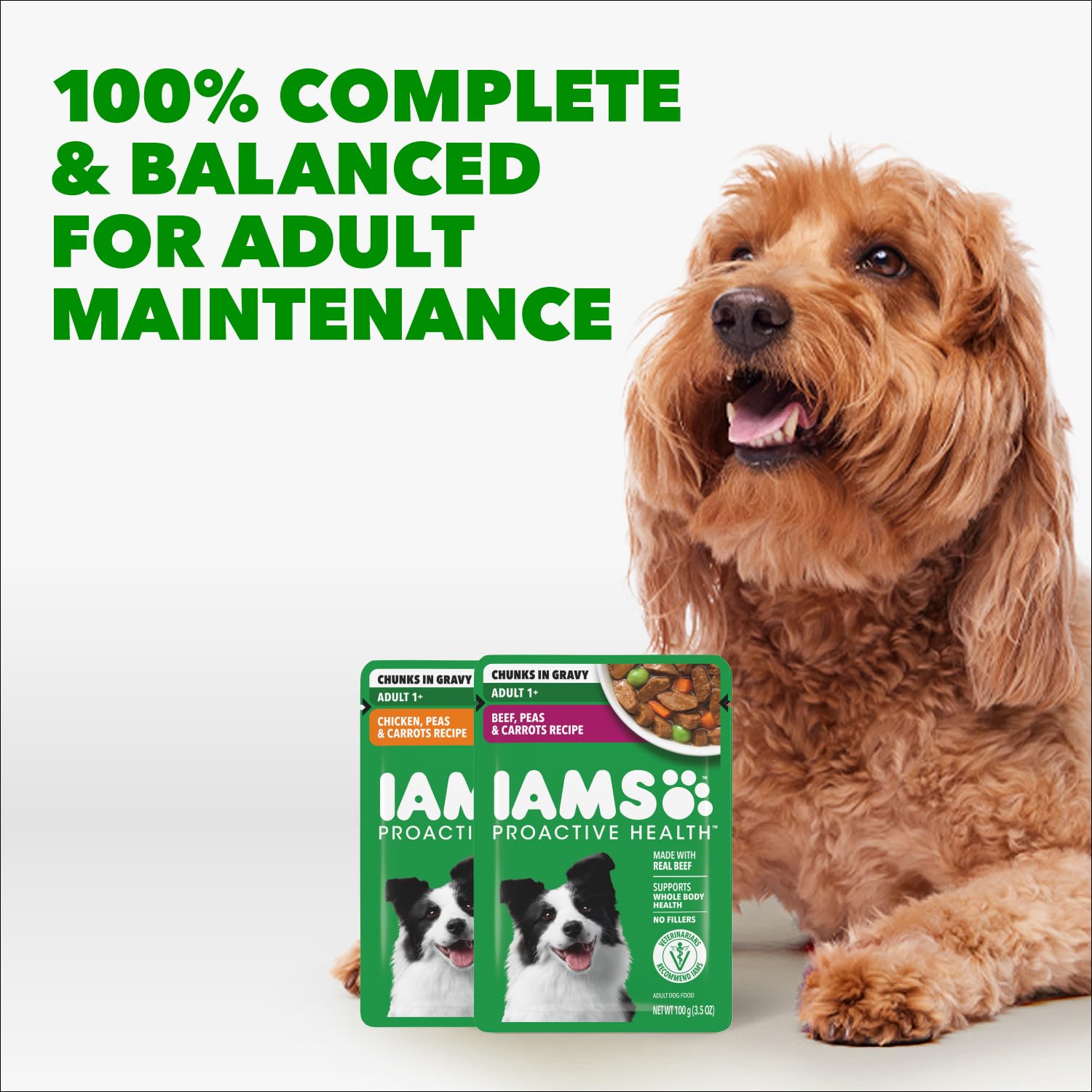 IAMS contenu servi sur croquettes pour augmenter appétence et hydratation