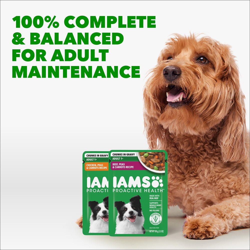 IAMS contenu servi sur croquettes pour augmenter appétence et hydratation