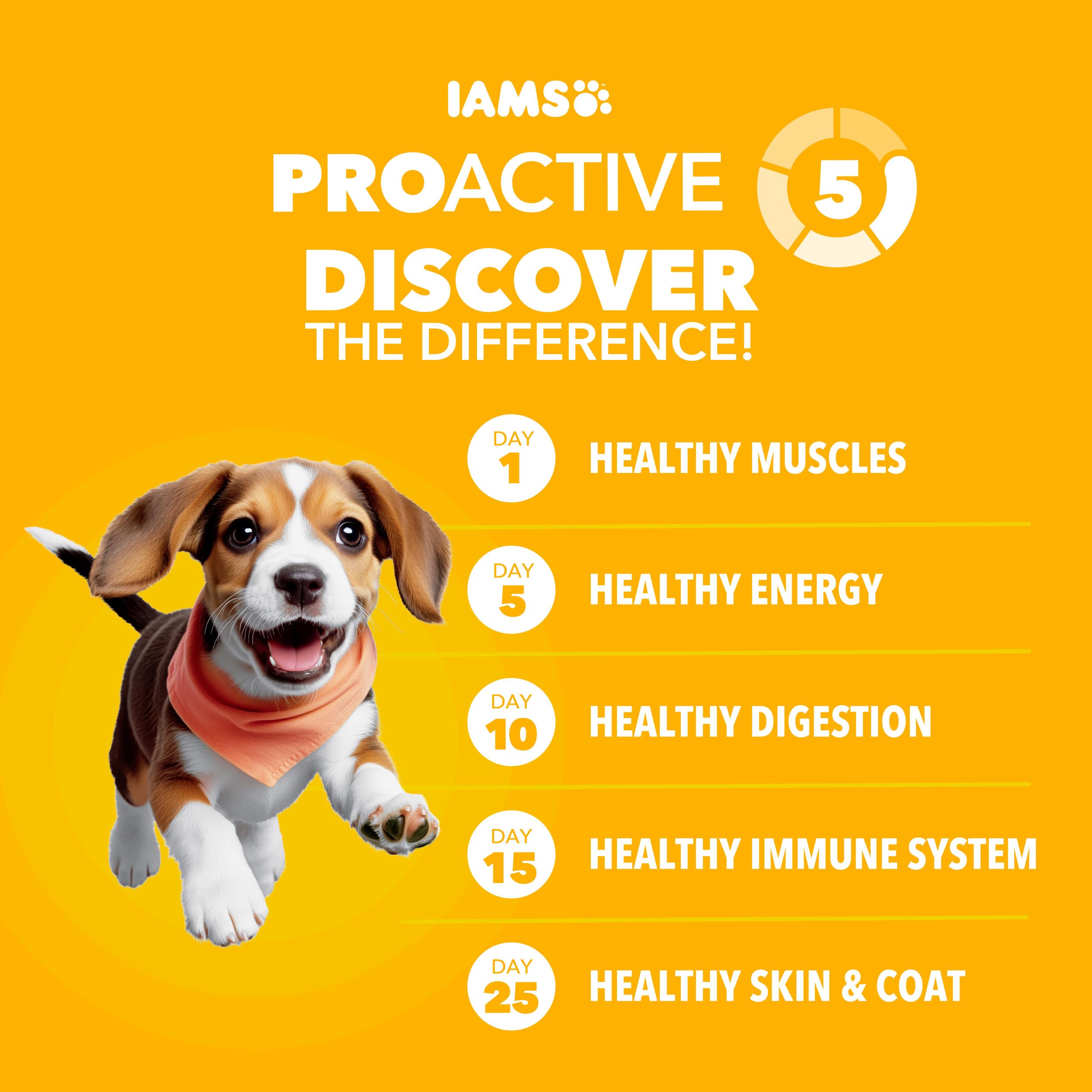 Gros plan croquette IAMS montrant texture et qualité digestible