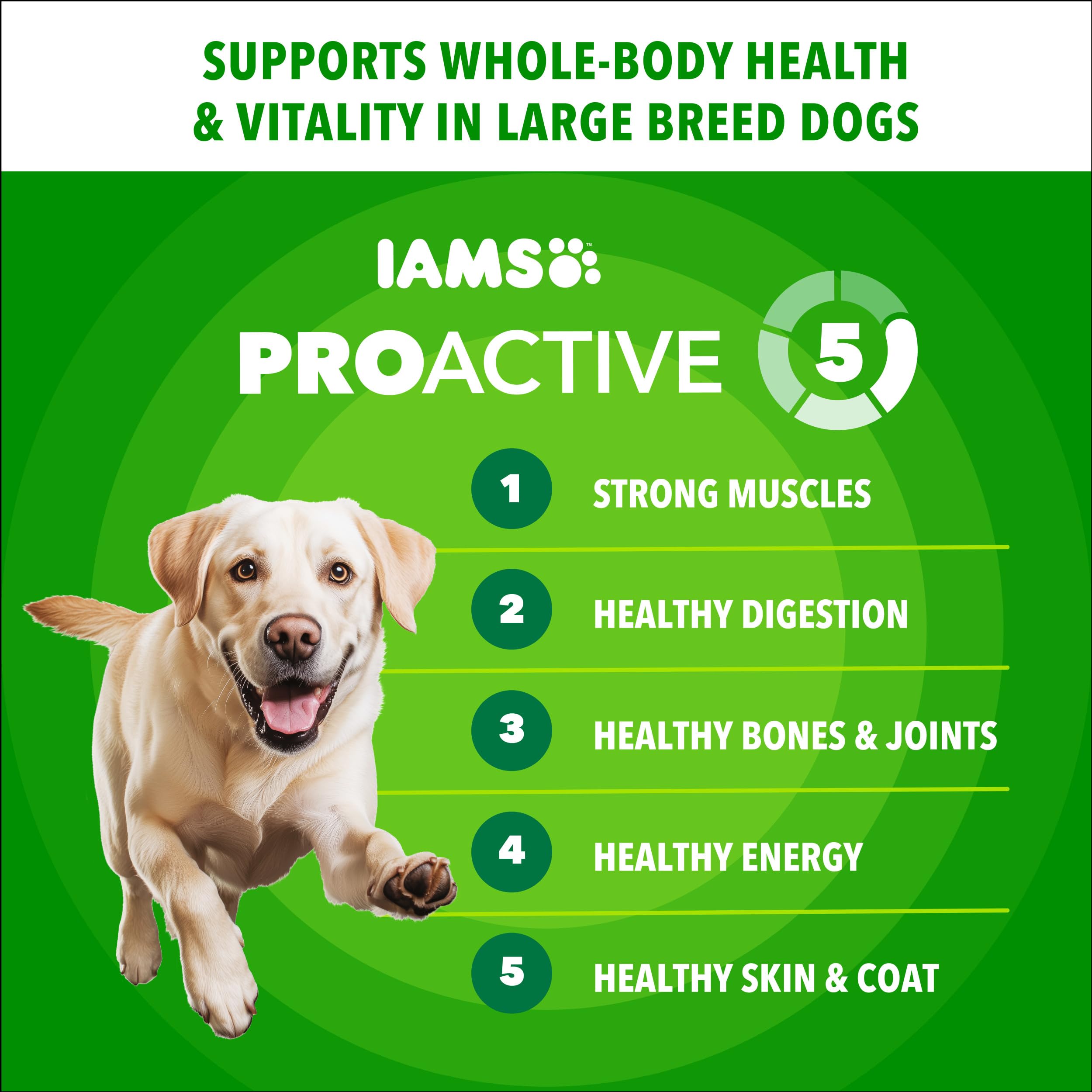 IAMS croquettes comparées à une main pour évaluer la taille utile