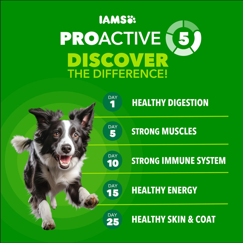 IAMS échelle taille croquette pour comparaison, adapté mâchoire adulte