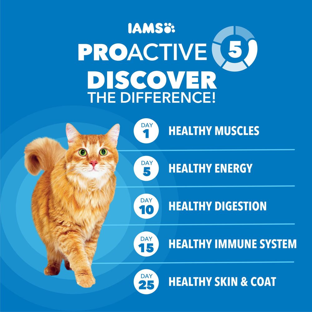 IAMS étiquette nutritionnelle détaillée montrant ingrédients et valeurs utiles