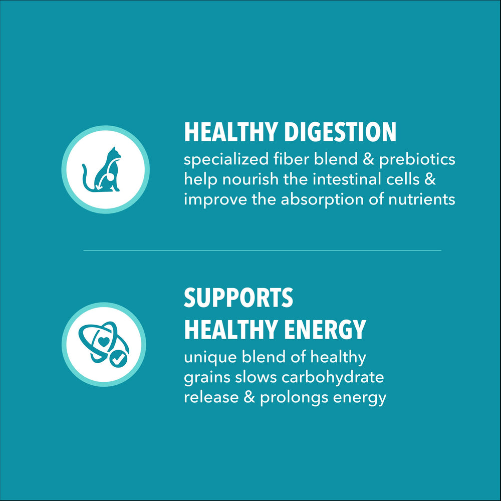 IAMS étiquette nutritionnelle lisible, bénéfice informations ingrédients
