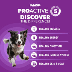 IAMS gros plan croquette montrant texture hautement digestible bénéfique