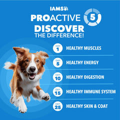 IAMS gros plan des croquettes pour meilleure acceptation et appétence