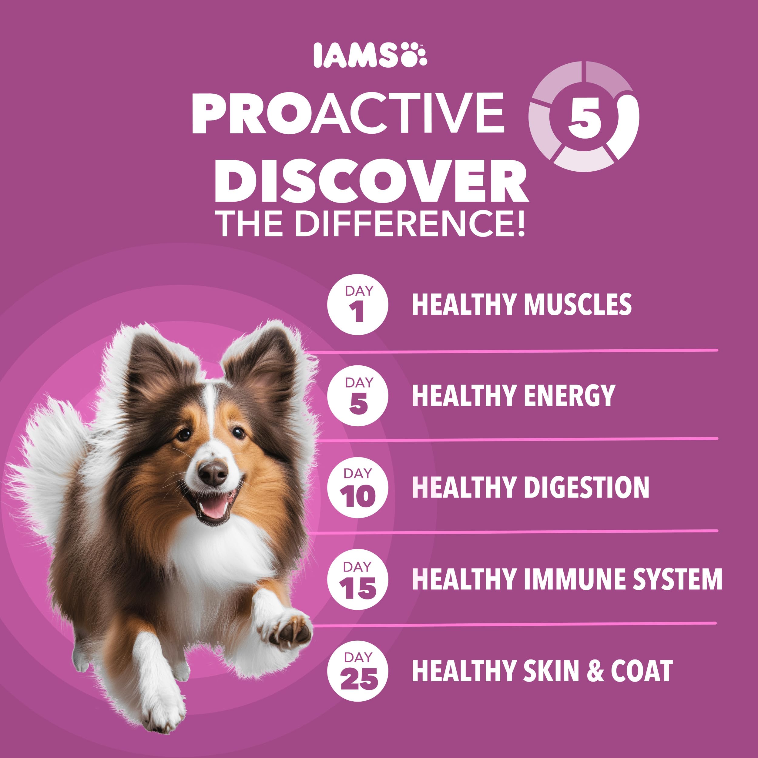 IAMS gros plan croquette montrant texture et digestion facilitée