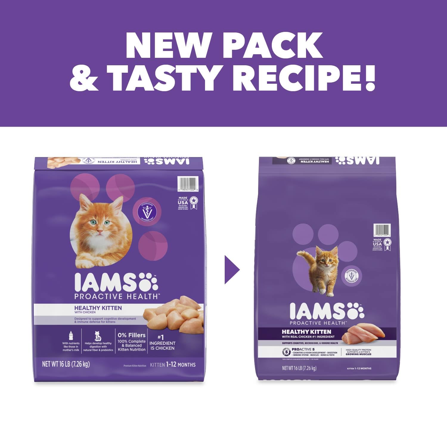 IAMS chaton joueur après repas illustre énergie et bien‑être