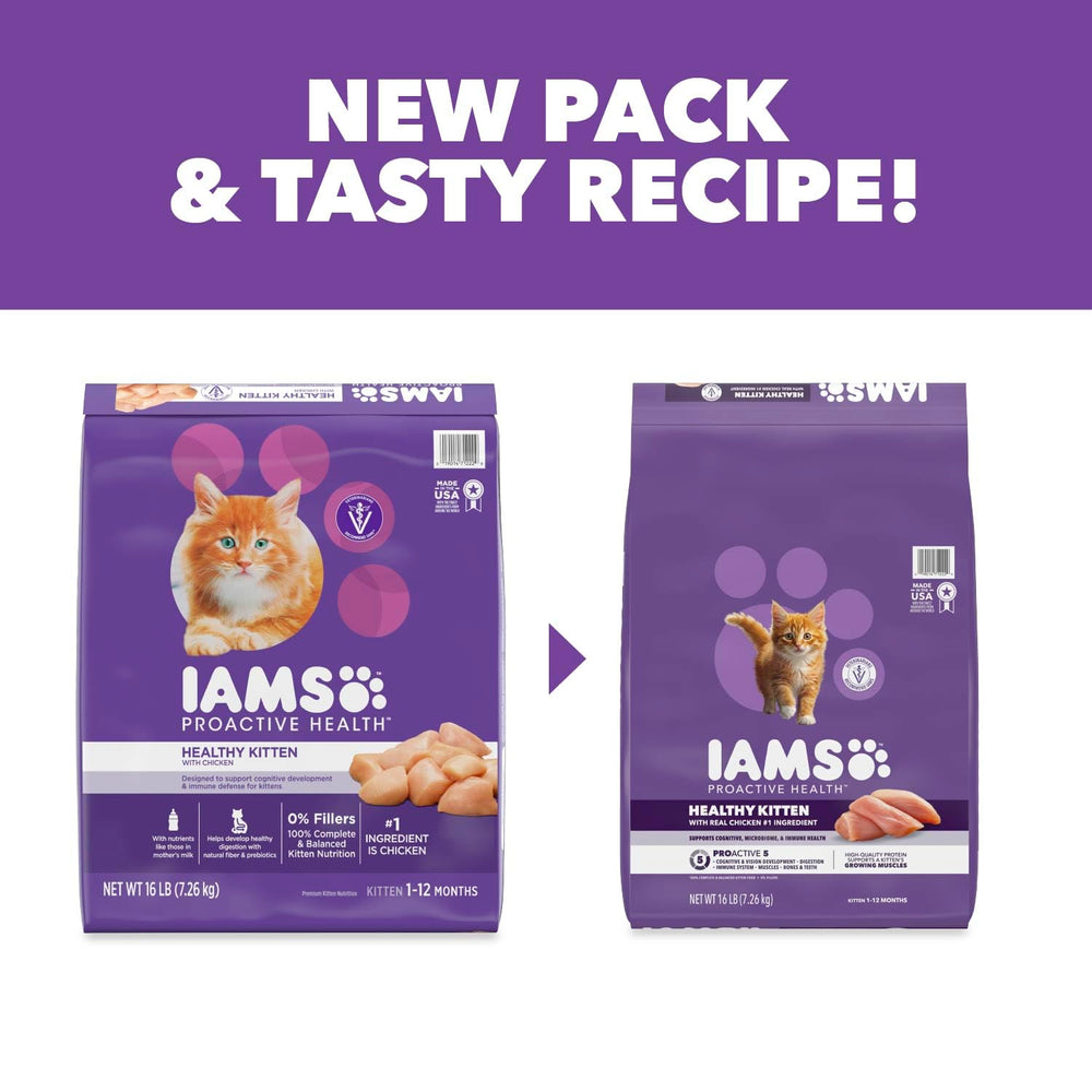 IAMS chaton joueur après repas illustre énergie et bien‑être